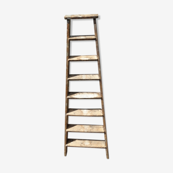 Ladder