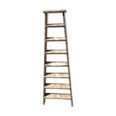 Ladder