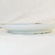Porcelain dish from limoges or paris around 1900 decoration at martin pecheur