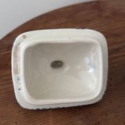 Sugar bowl in English porcelain Enoch Wedgwood Asiatic Pheasants