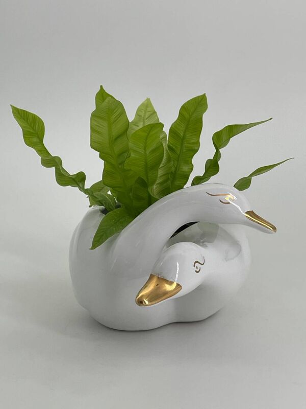 Cache pot deux cygnes en porcelaine blanc et doré vintage