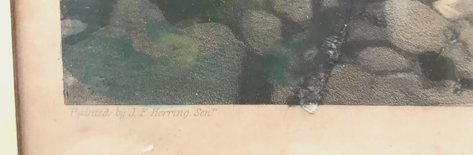 Framed English engraving "The hunt" 20th century