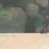 Framed English engraving "The hunt" 20th century