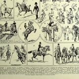 Antique Engravings - 1928 by L. Bombled - Horse Riding - Illustration