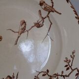 Antique plate model Oxford brown, HB - Co. Choisy-le-Roy , 1900s