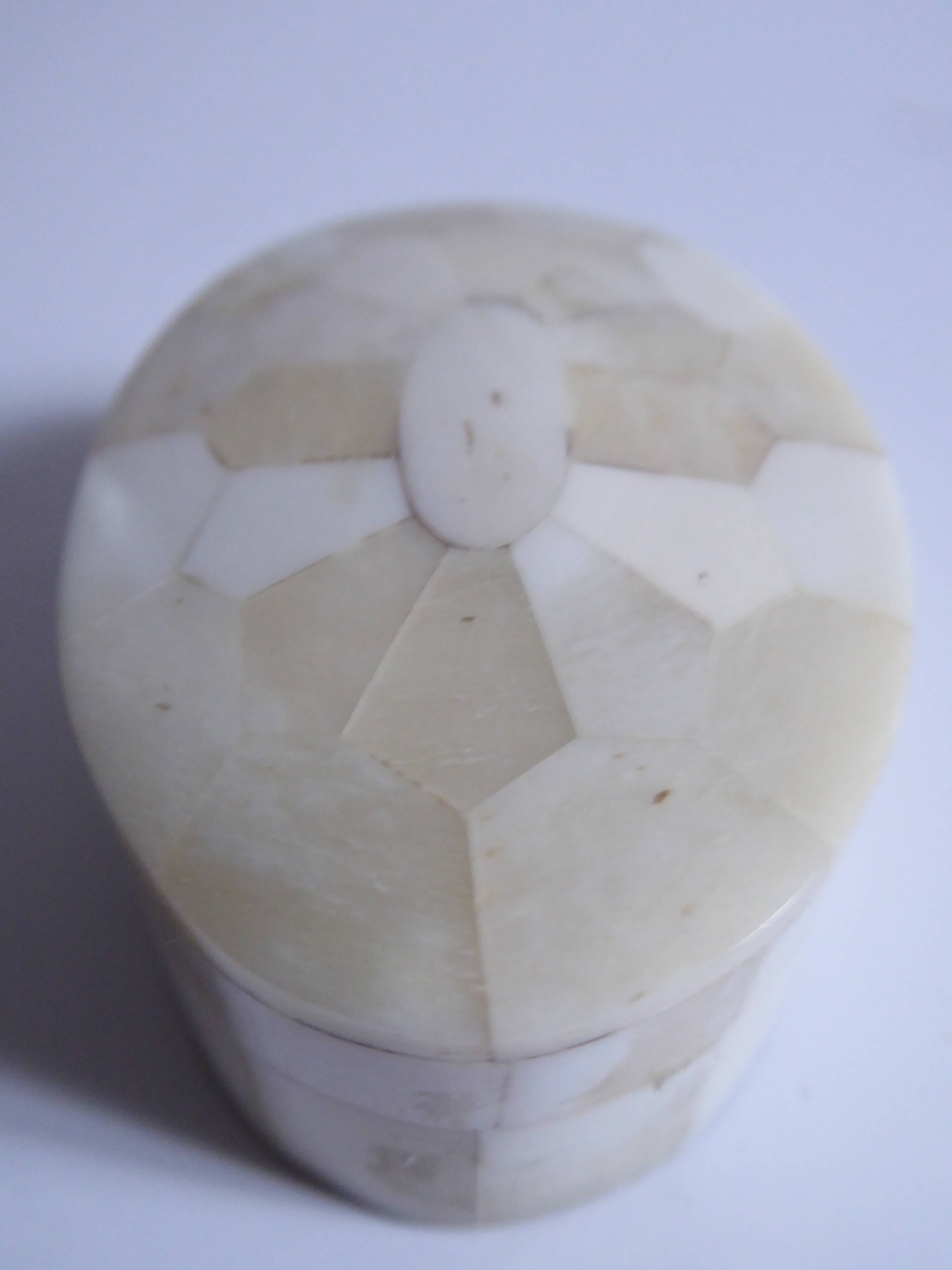 Oval box in white horn and wood