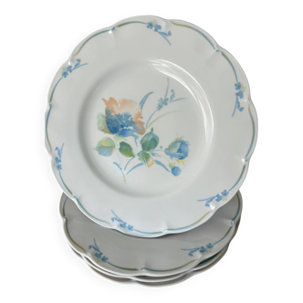 Haviland Limoges porcelain dinner plates