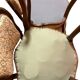 Salon complet style Louis XV italien canapé fauteuil chaise