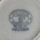 Victoria Austria porcelain dish
