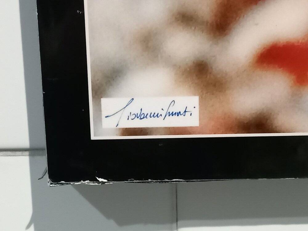 Photographic poster with tropical fish by Giovanni Smorti, 1980s