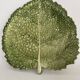 Plat barbotine, feuille de chou