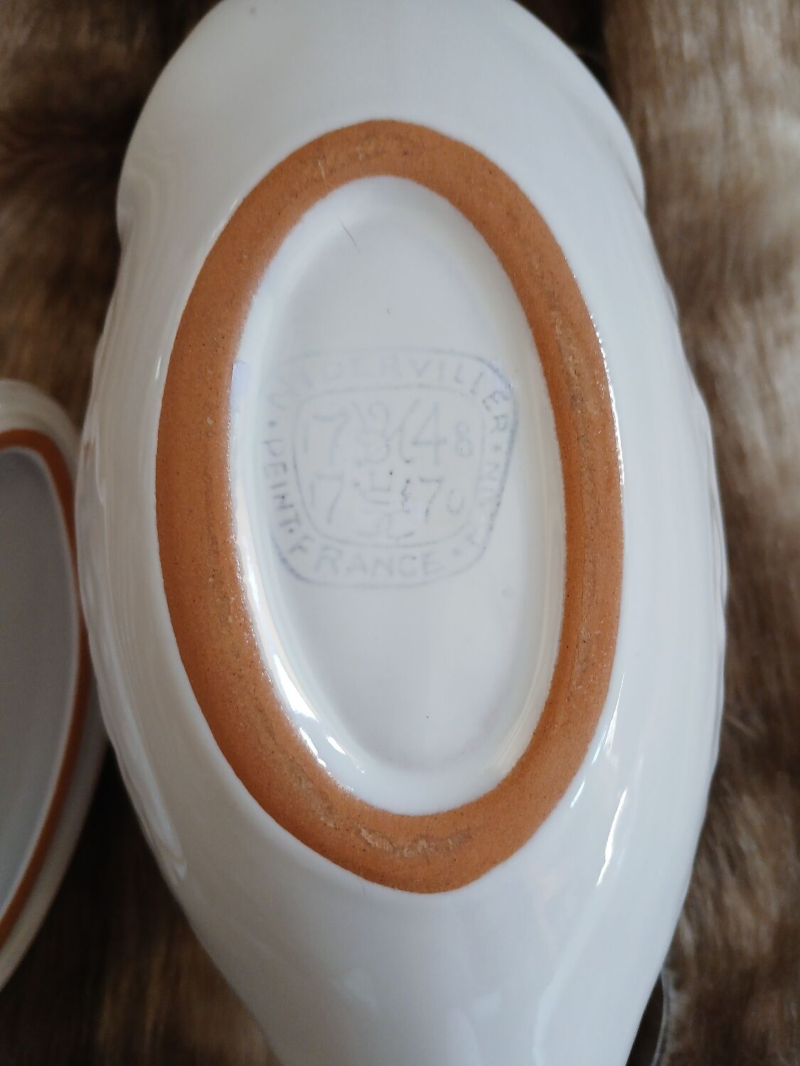 12 flat plates in earthenware/fish