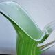 Service of orangeade glass Murano 1960s