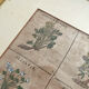 Lithograph botanical plate enhanced with watercolour.