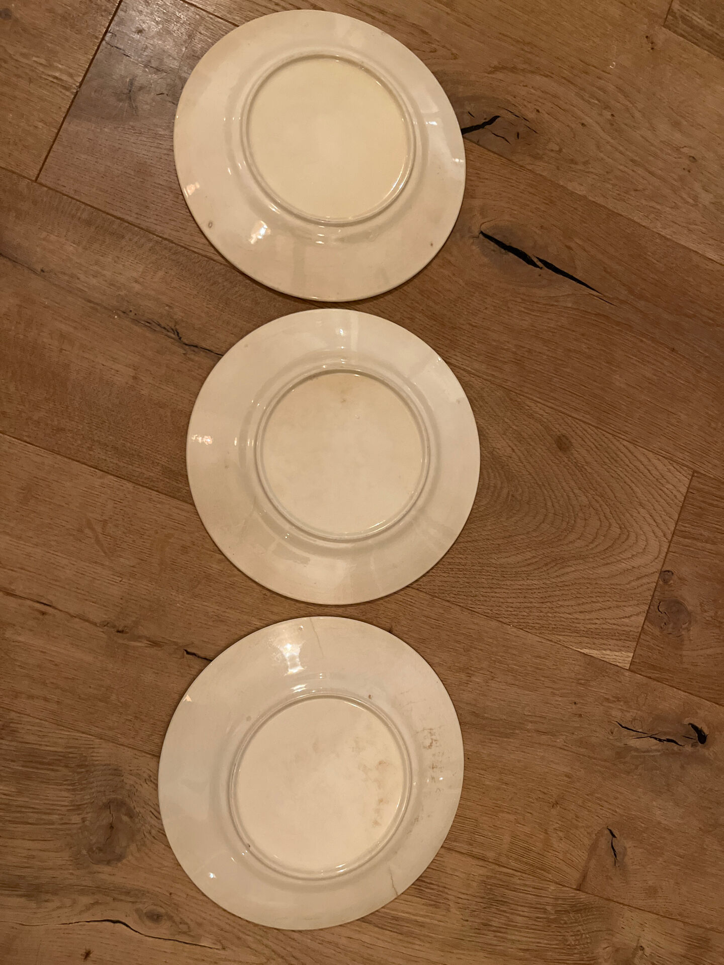 Flat plates in earthenware with blue flowers