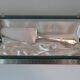 Pie shovel in box