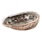 Vide poche coquillage ormeau, années 70