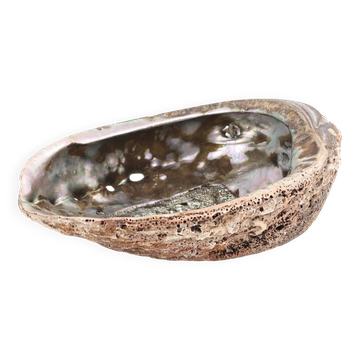 Vide poche coquillage ormeau, années 70