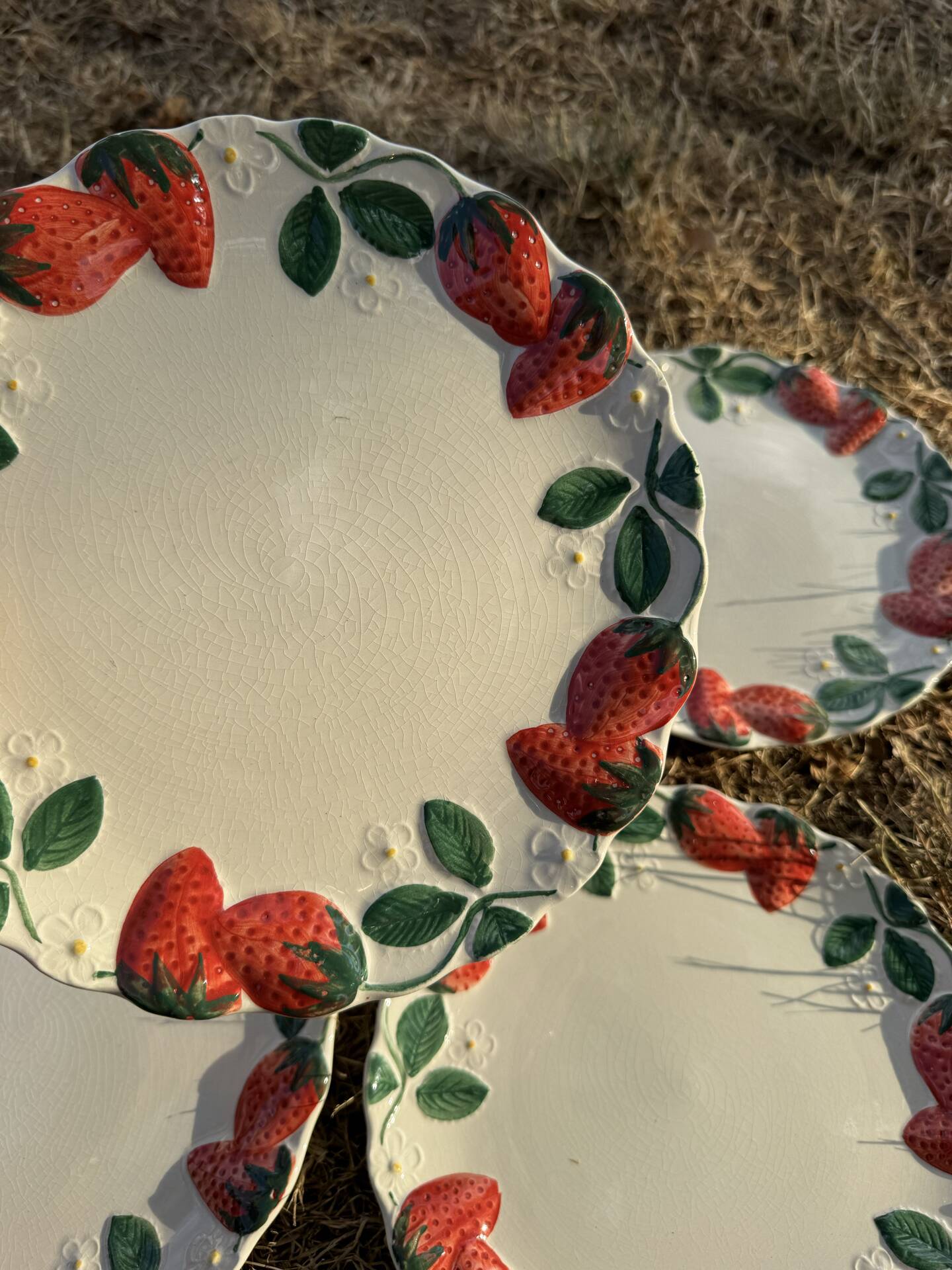 Longchamp antique strawberry barbotine plates