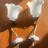 Paire d'appliques col de cygne opaline