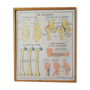 Affiche scolaire pédagogique