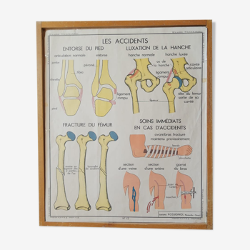 Rossignol educational school poster