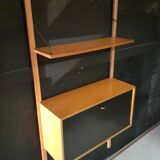 Royal storage unit system by Poul Cadovius circa 1960