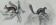 Planche zoologique originale " petit gris de sibérie, palmiste,... - buffon 1838