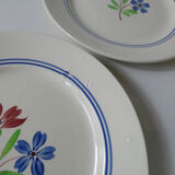 Luneville 6 flat plates