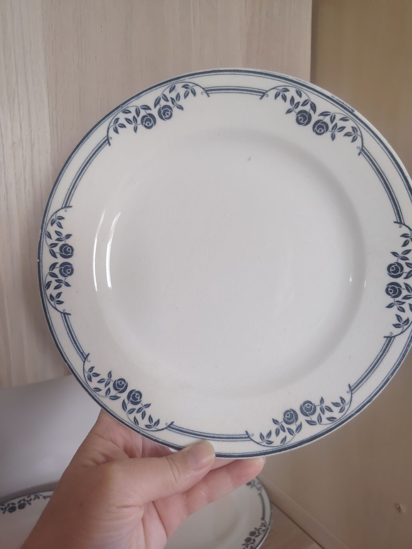 Flat plates ironstone Saussure