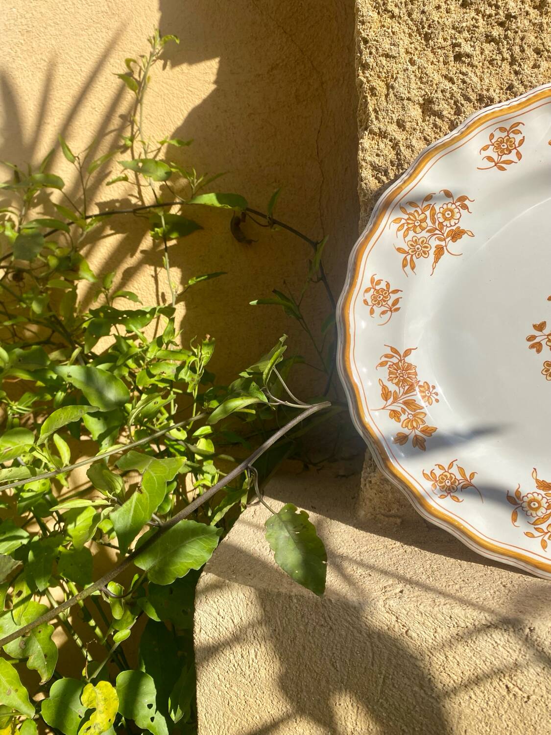Assiette décorative Moustiers
