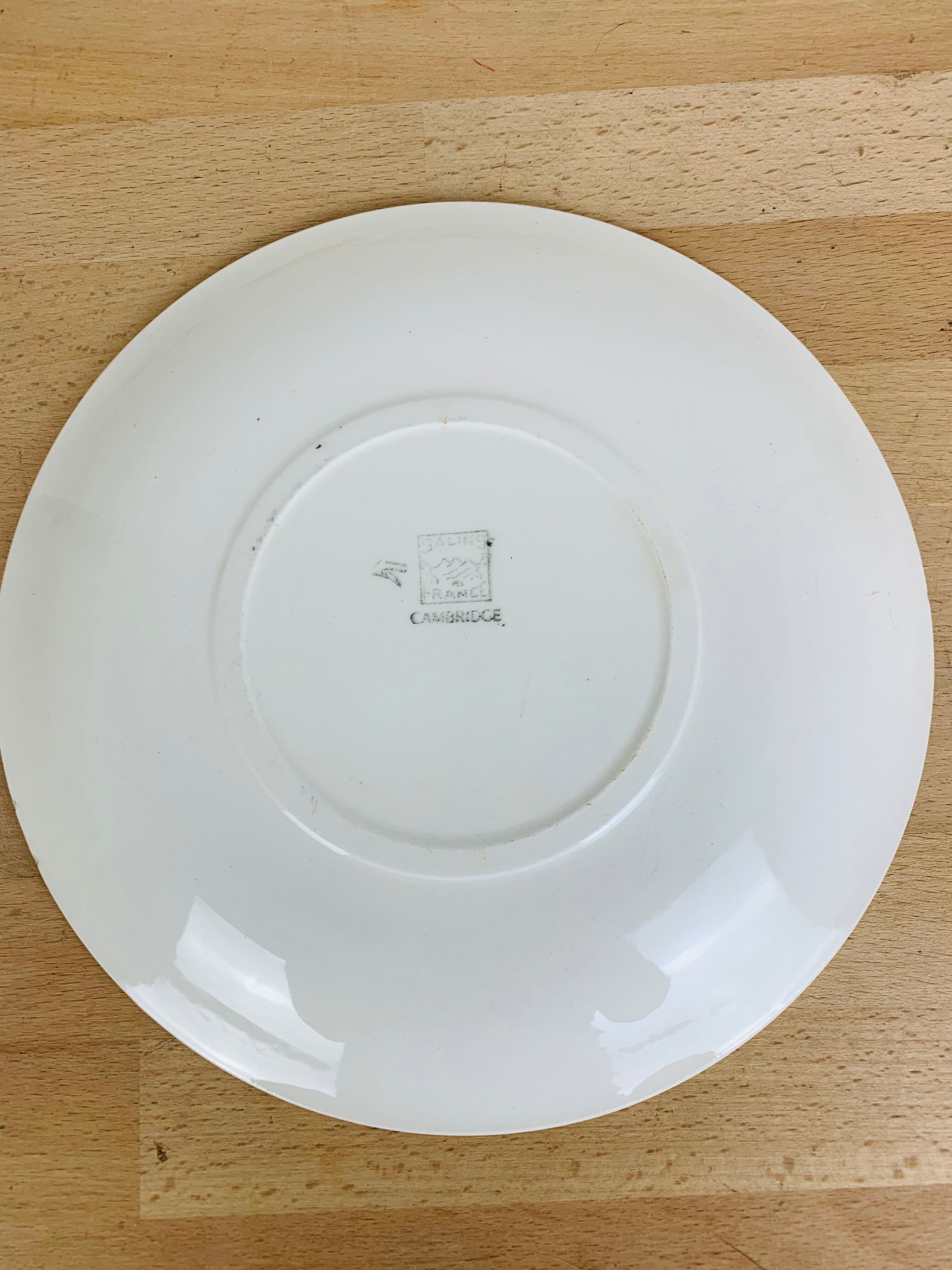 6 flat cambridge plates by Salins