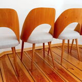 Czechoslovakian Chairs by A. Suman for Tatra Nabytok, 1960s, Set of 4