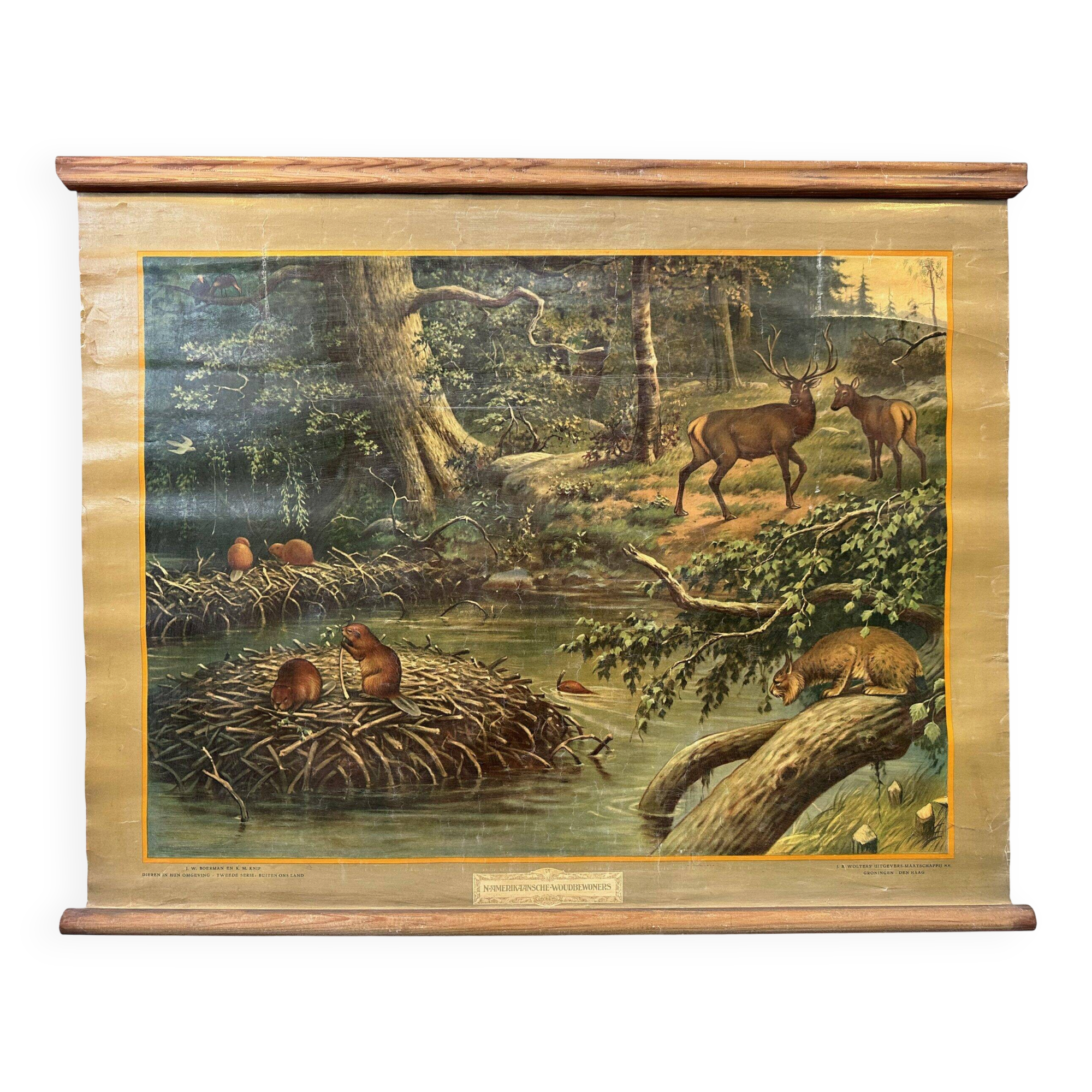 Vintage linen school chart – North American forest dwellers