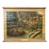 Affiche scolaire en lin vintage – Habitants des forêts nord-américaines