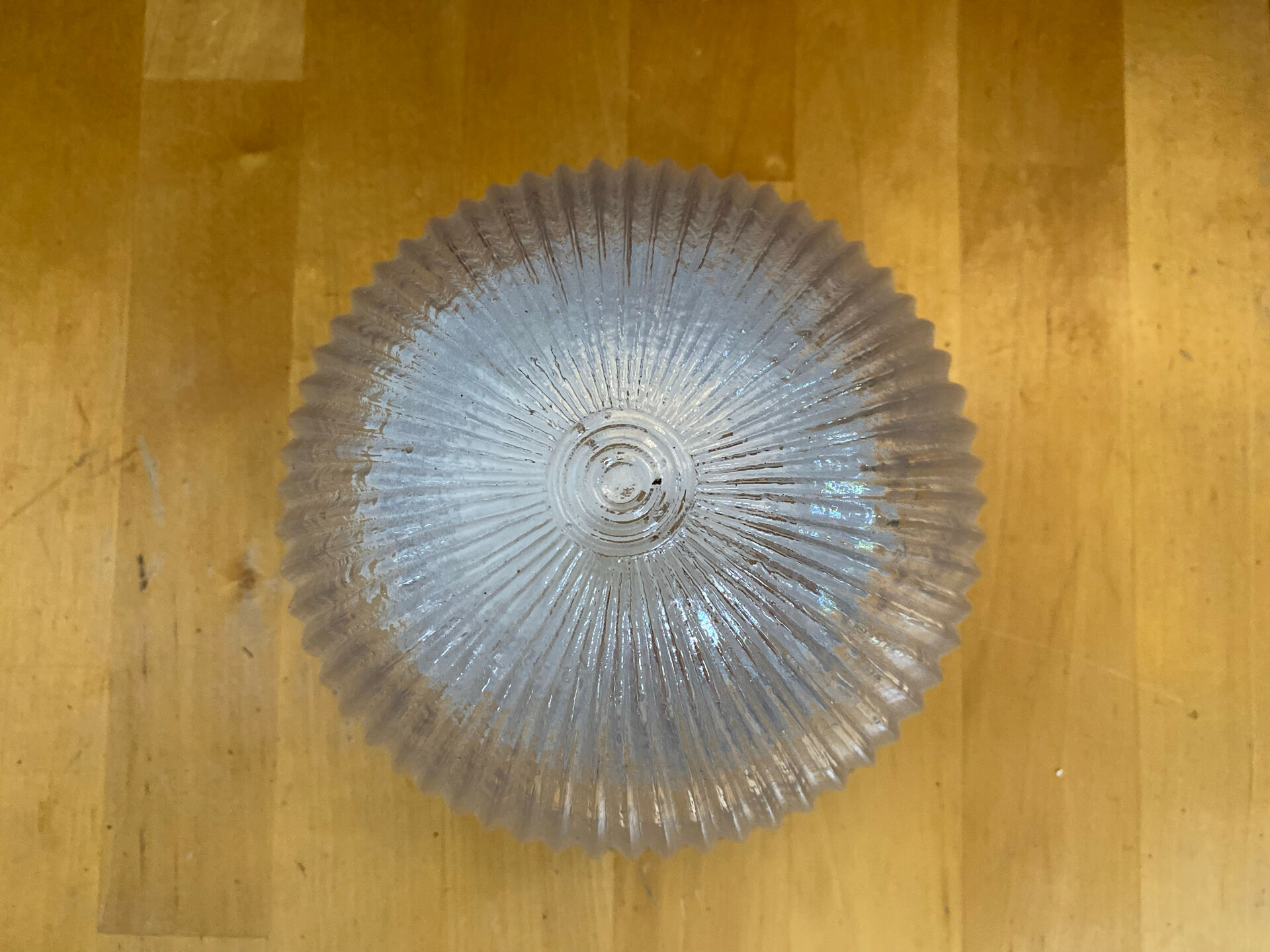 Vintage White Metal Support + Moulded Glass Ceiling Light Fixture
