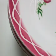 Digoin Sarreguemines 6 plates & a deep dish "Aude".