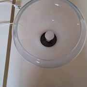 Replacement Glass and Lamp Base Lotus LT 305 by Carlo Nason