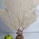 Antique gorgonian coral, Venus fan, on solid wood base, 58 cm