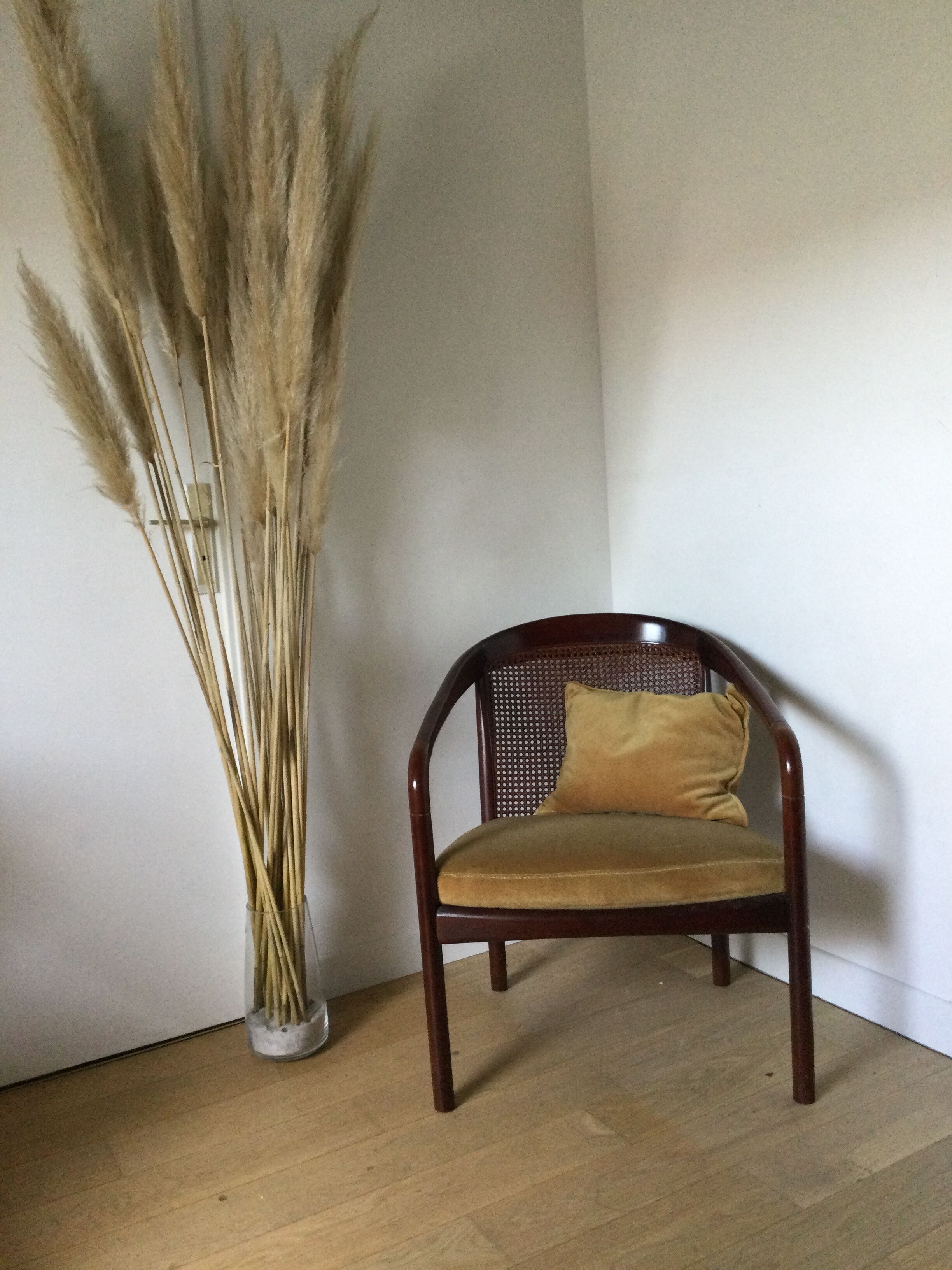 Canna chair