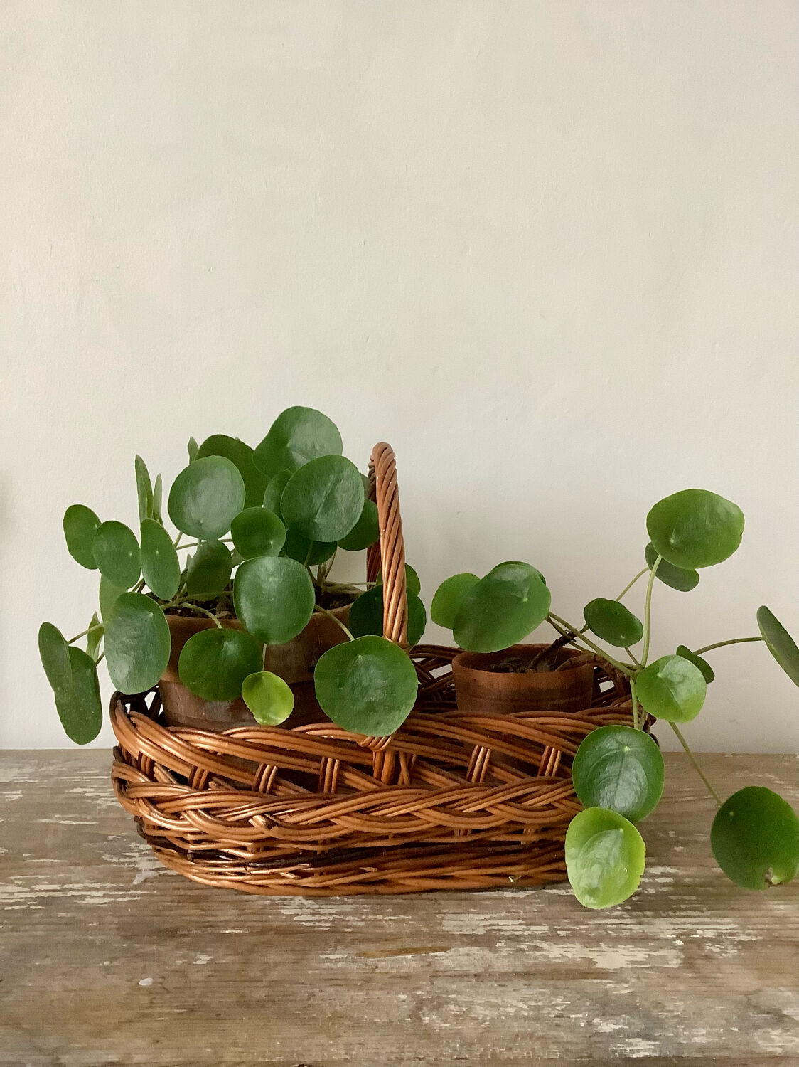 Oval basket with handle