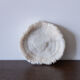 Corail fungia 14x12 cm