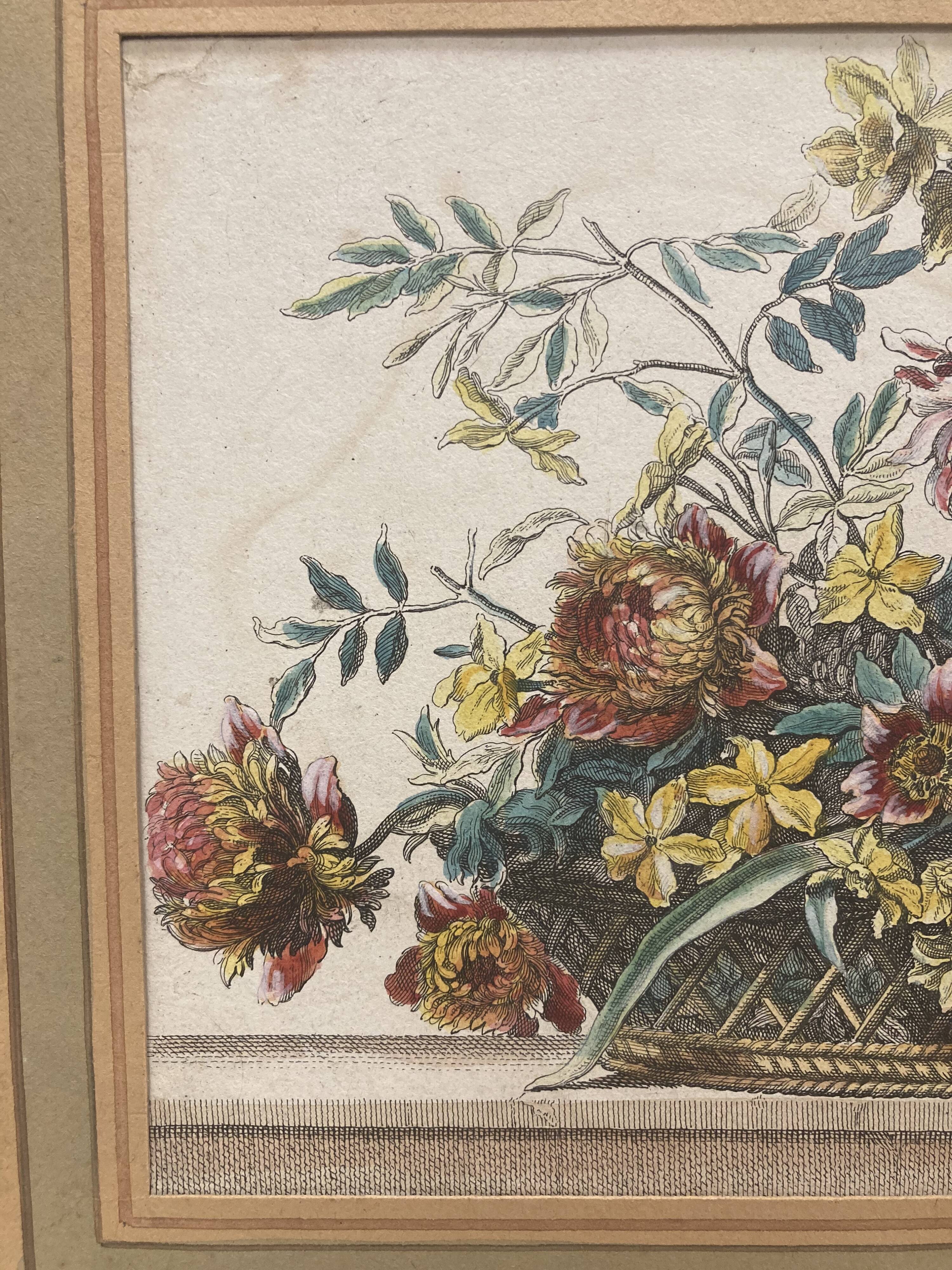 Pair of framed botanical boards