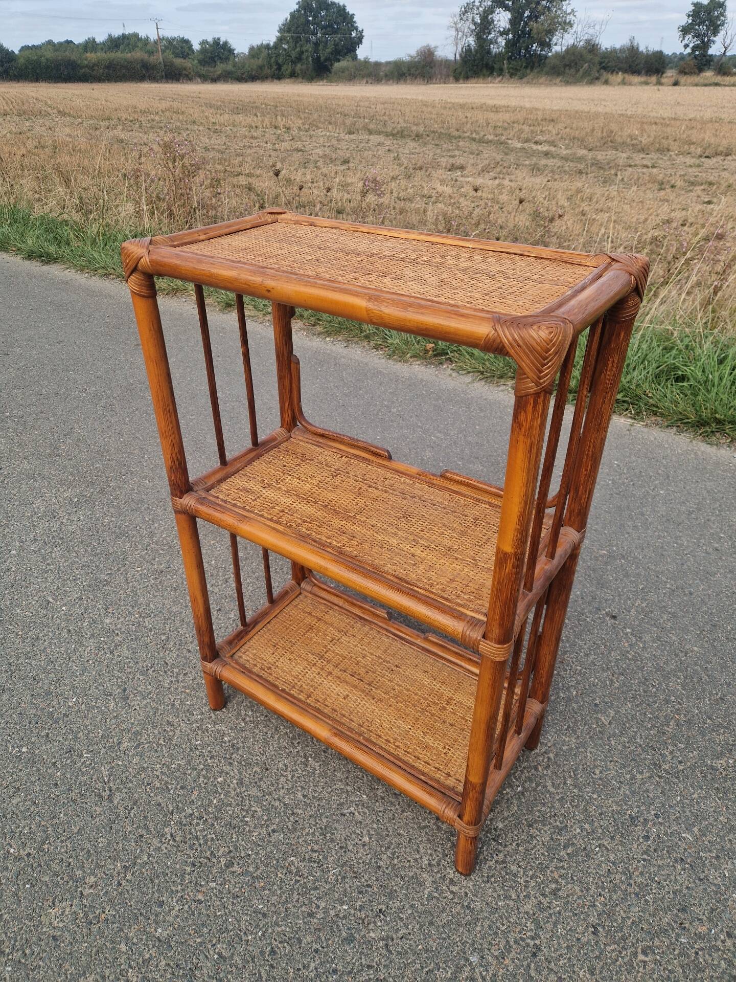 Étagère bibliothèque en rotin