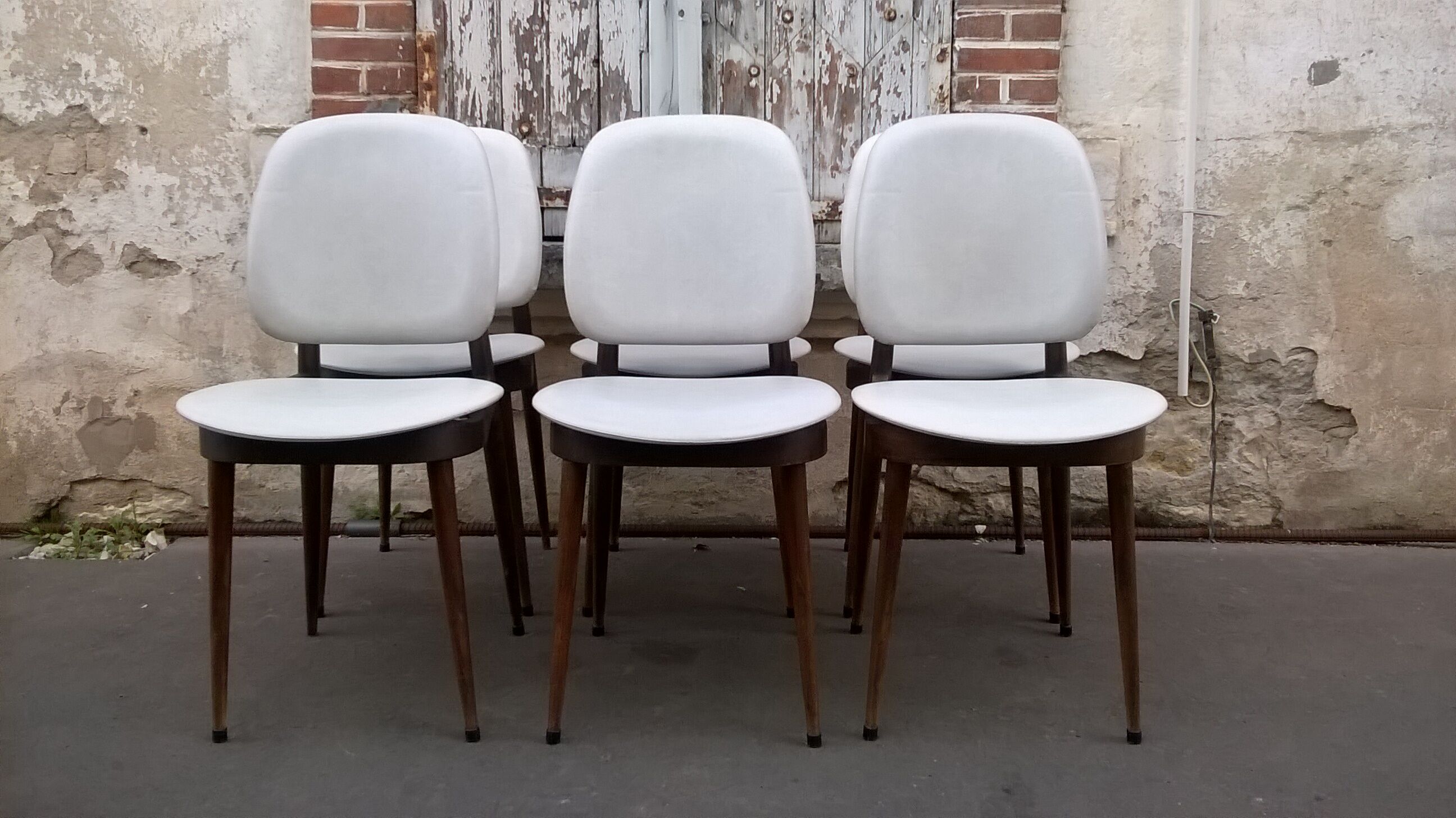 six Baumann Chair model Pegasus