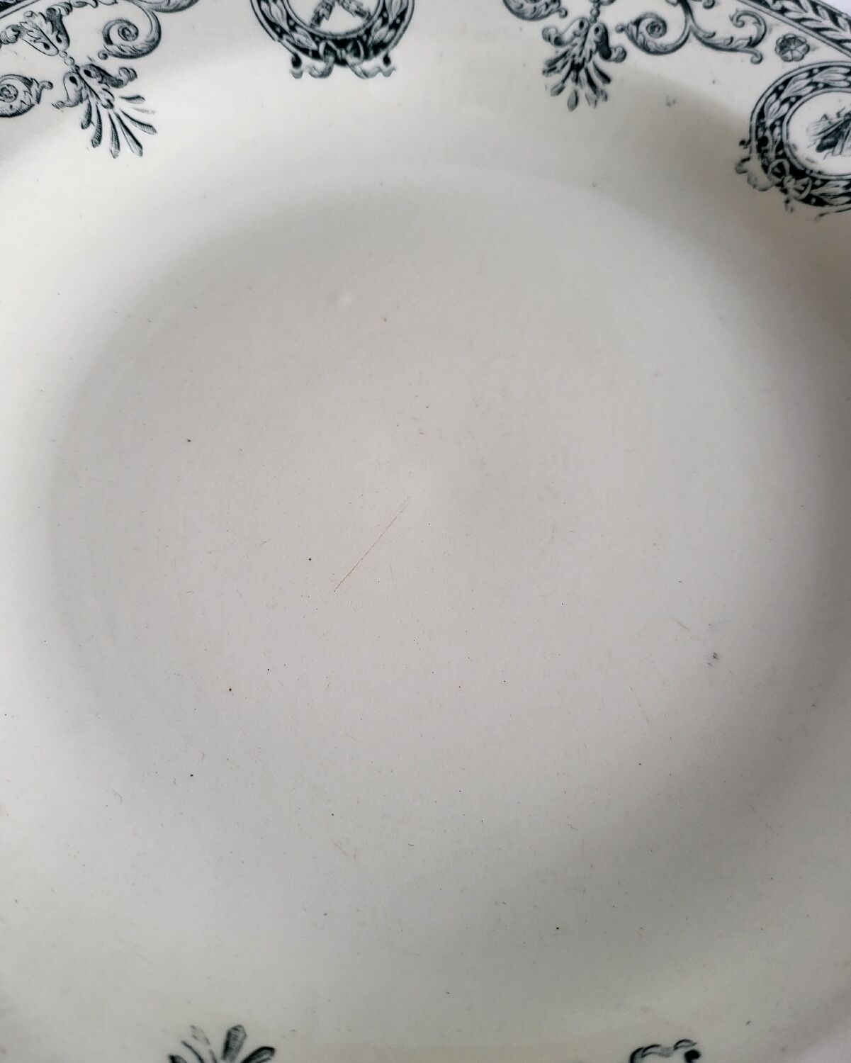 11 Deep Plates Ironstone Salins Cambacérès Decor