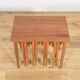 Mid-century Danish nesting tables by Poul Hundevad for Novy Domov, Czechoslovakia, 1960s, set of 5
