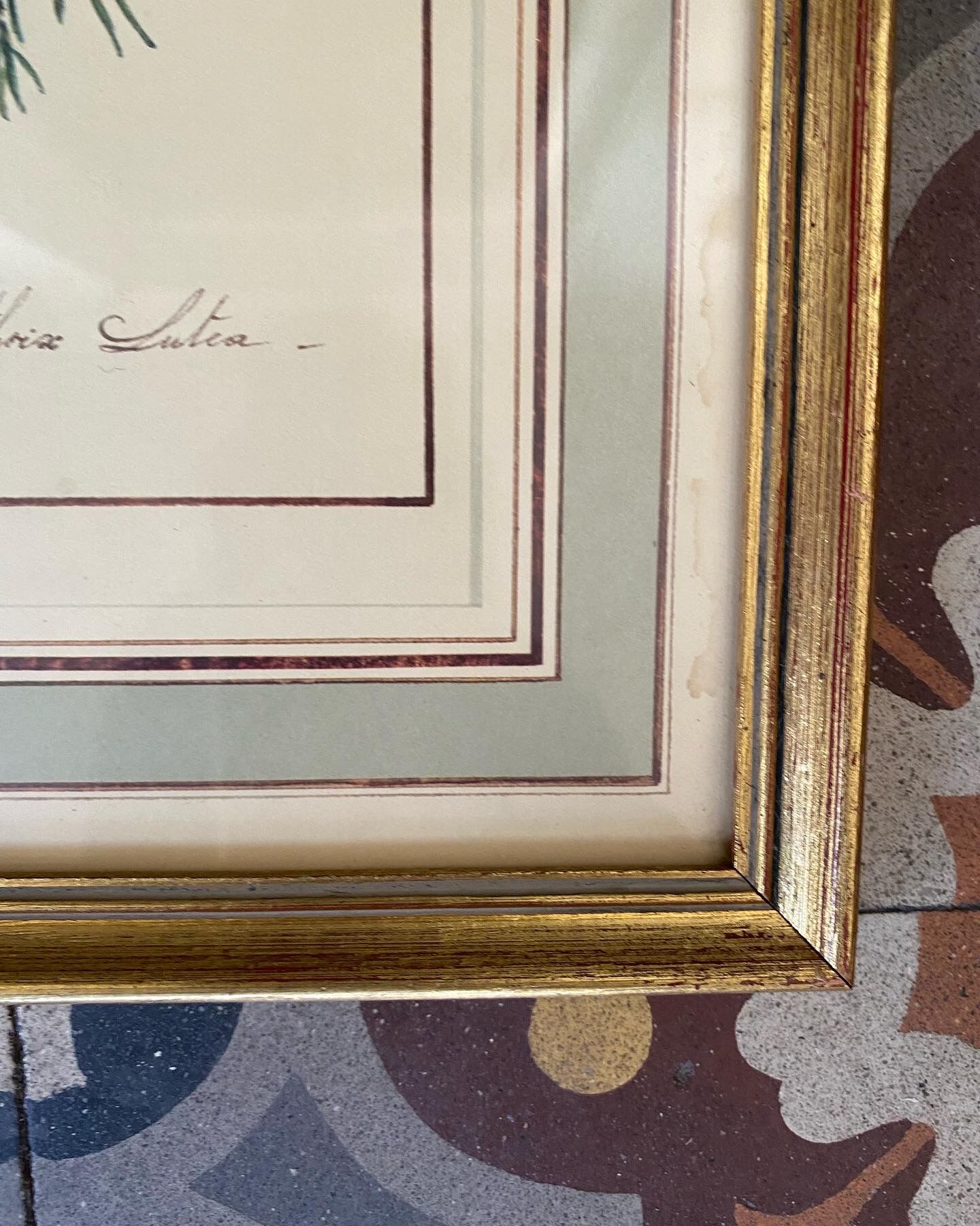 Lithographic frame Nightingale of Japan.