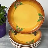 Vintage-Set of 6 beautiful dessert plates-West Germany