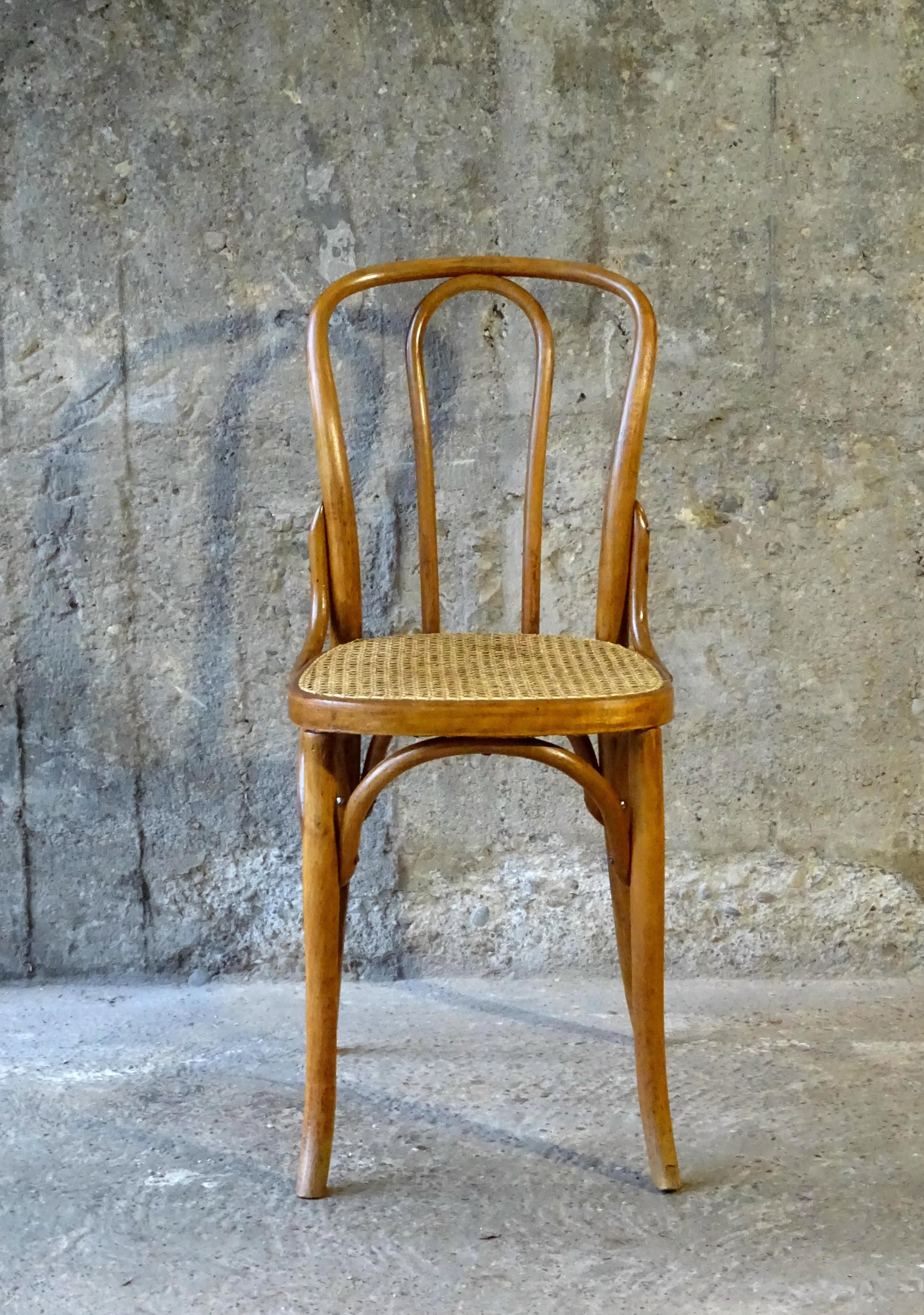 Canned bistro chair Fischel N°113, circa 1925